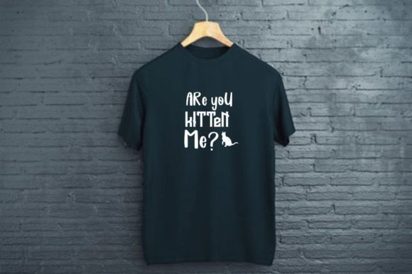 ARE YOU KITTEN ME - Cat Lover Quote Review