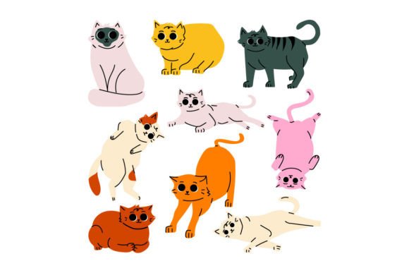 Cat Pet Hand Drawn Illustration Review