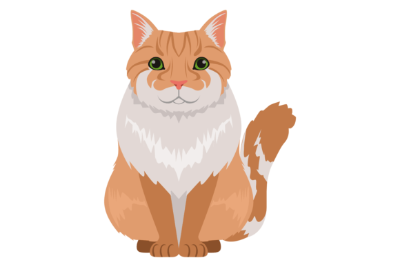 Norwegian Forest Cat Icon Fluffy Ginger Review