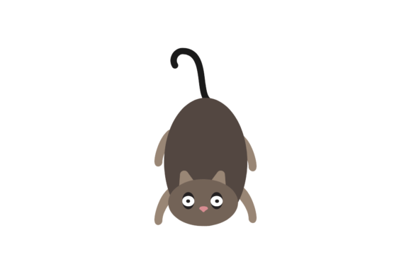 Wild Halloween Cat Embroidery Design Review